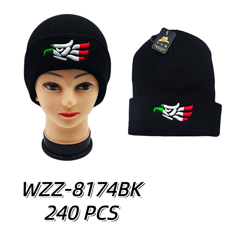 WZZ-8174BK CS240